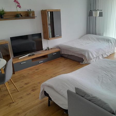 Coresi, 2 Camere, Sleeps 6 Large Private Garden Apartment Pets Welcome Braşov Extérieur photo