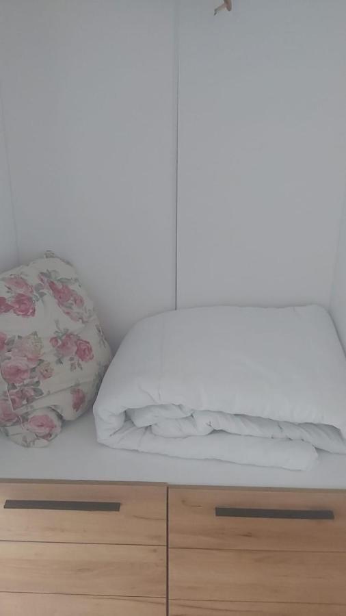 Coresi, 2 Camere, Sleeps 6 Large Private Garden Apartment Pets Welcome Braşov Extérieur photo