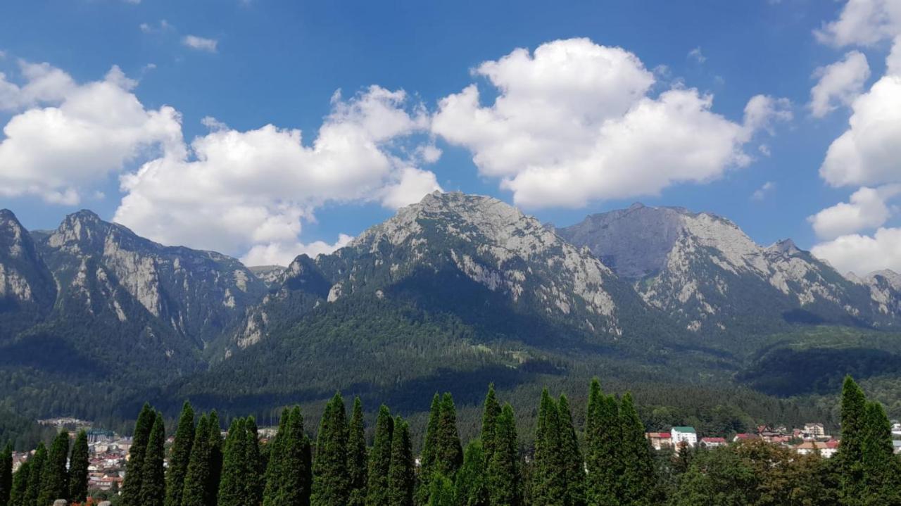Coresi, 2 Camere, Sleeps 6 Large Private Garden Apartment Pets Welcome Braşov Extérieur photo